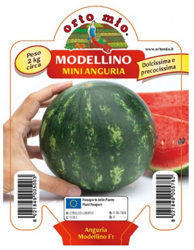 ORTO MIO - PIANTA ALTA QUALITA' -... ORTO MIO - PIANTA ALTA QUALITA' -...