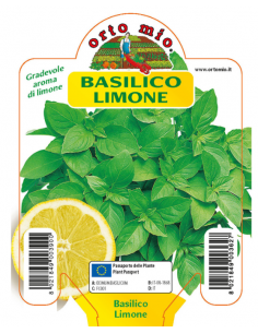 ORTO MIO - PIANTA ALTA...