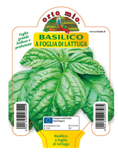 ORTO MIO - PIANTA ALTA...