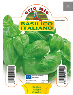 ORTO MIO - PIANTA ALTA...