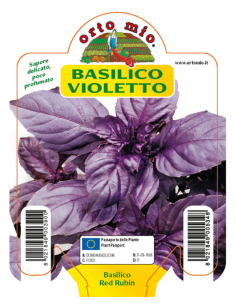 ORTO MIO - PIANTA ALTA...