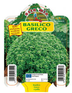 ORTO MIO - PIANTA ALTA...