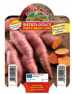 ORTO MIO - PIANTA ALTA...