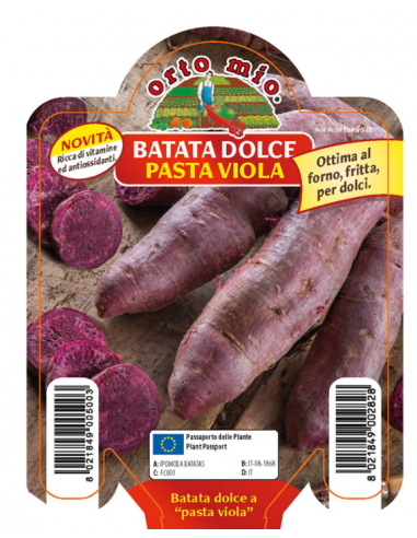 ORTO MIO - PIANTA ALTA QUALITA' -... ORTO MIO - PIANTA ALTA QUALITA' -...