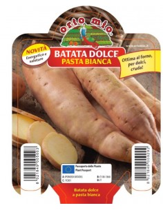 ORTO MIO - PIANTA ALTA...