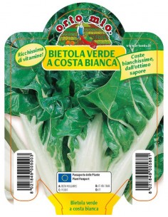 ORTO MIO - PIANTA ALTA...