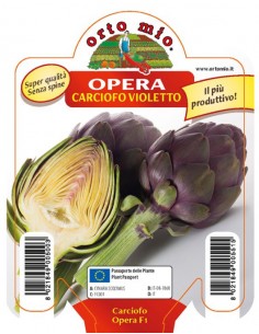 ORTO MIO - PIANTA ALTA...