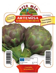 ORTO MIO - PIANTA ALTA...