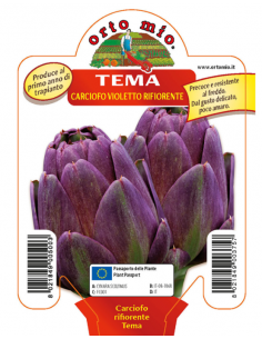 ORTO MIO - PIANTA ALTA...