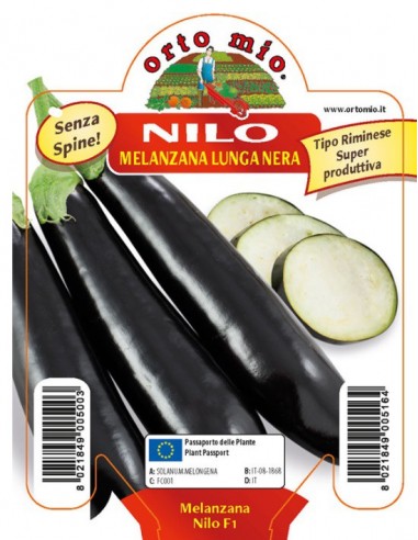 ORTO MIO - PIANTA ALTA QUALITA' -...