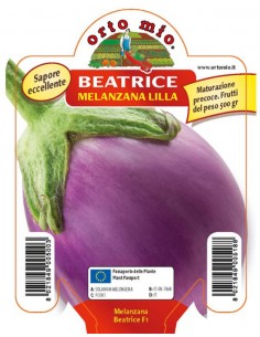 ORTO MIO - PIANTA ALTA...