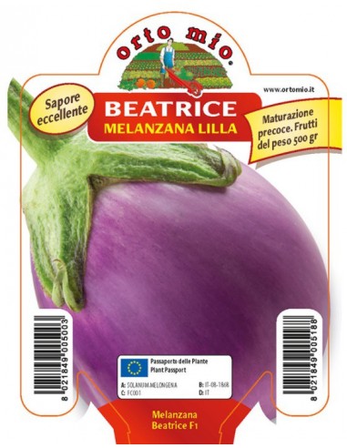 ORTO MIO - PIANTA ALTA QUALITA' -... ORTO MIO - PIANTA ALTA QUALITA' -...