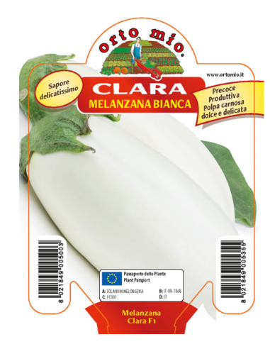 ORTO MIO - PIANTA ALTA QUALITA' -... ORTO MIO - PIANTA ALTA QUALITA' -...