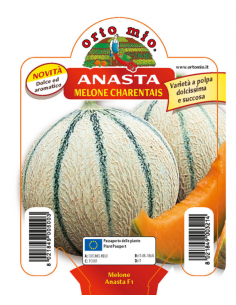 ORTO MIO - PIANTA ALTA...