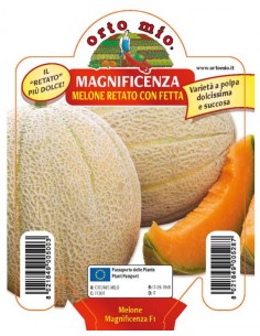 ORTO MIO - PIANTA ALTA...