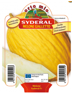 ORTO MIO - PIANTA ALTA...