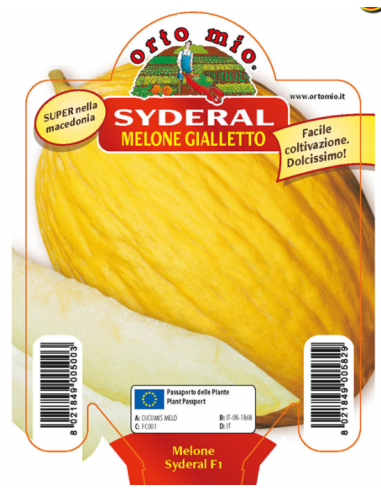 ORTO MIO - PIANTA ALTA QUALITA' -... ORTO MIO - PIANTA ALTA QUALITA' -...