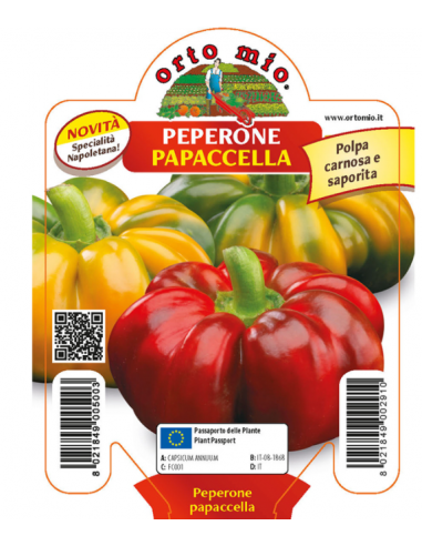 ORTO MIO - PIANTA ALTA QUALITA' -... ORTO MIO - PIANTA ALTA QUALITA' -...