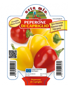 ORTO MIO - PIANTA ALTA...