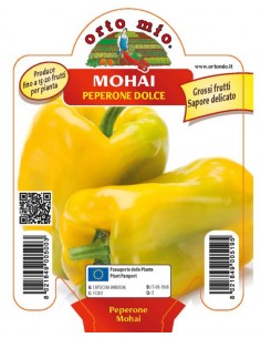 ORTO MIO - PIANTA ALTA...