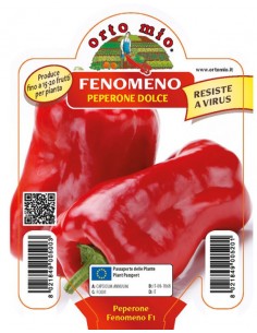 ORTO MIO - PIANTA ALTA...