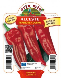 ORTO MIO - PIANTA ALTA...