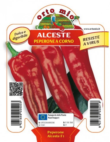 ORTO MIO - PIANTA ALTA QUALITA' -... ORTO MIO - PIANTA ALTA QUALITA' -...