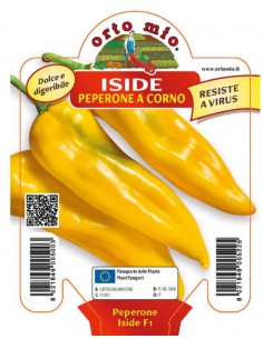 ORTO MIO - PIANTA ALTA...