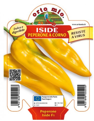 ORTO MIO - PIANTA ALTA QUALITA' -... ORTO MIO - PIANTA ALTA QUALITA' -...