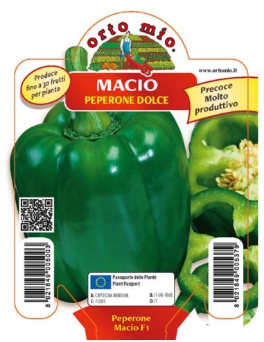 ORTO MIO - PIANTA ALTA QUALITA' -... ORTO MIO - PIANTA ALTA QUALITA' -...