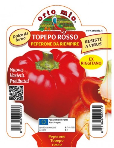 ORTO MIO - PIANTA ALTA QUALITA' -... ORTO MIO - PIANTA ALTA QUALITA' -...