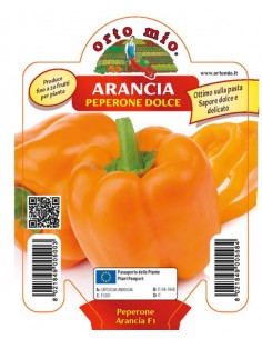 ORTO MIO - PIANTA ALTA...