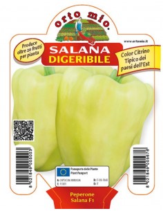 ORTO MIO - PIANTA ALTA...