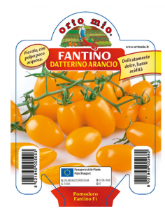 ORTO MIO - PIANTA ALTA...