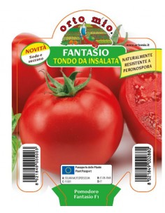 ORTO MIO - PIANTA ALTA...