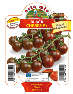 ORTO MIO - PIANTA ALTA...