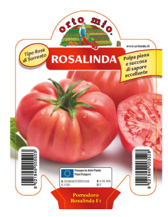 ORTO MIO - PIANTA ALTA...