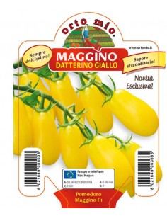 ORTO MIO - PIANTA ALTA...