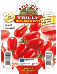 ORTO MIO - PIANTA ALTA...