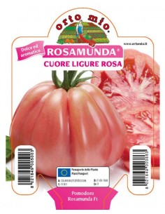 ORTO MIO - PIANTA ALTA...