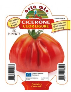 ORTO MIO - PIANTA ALTA...