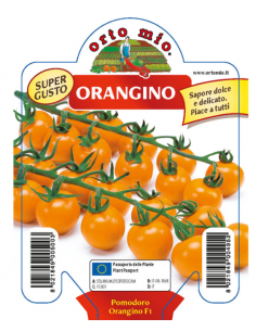 ORTO MIO - PIANTA ALTA...