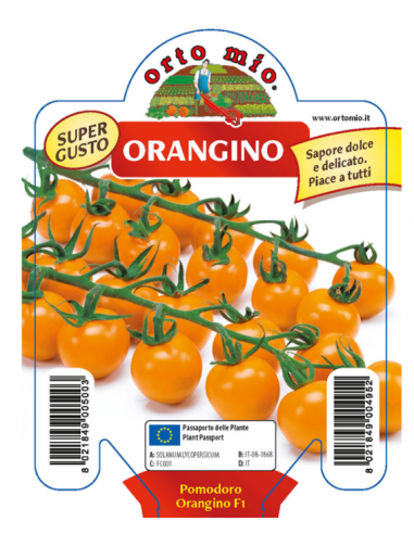 ORTO MIO - PIANTA ALTA QUALITA' -...