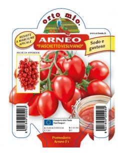 ORTO MIO - PIANTA ALTA...