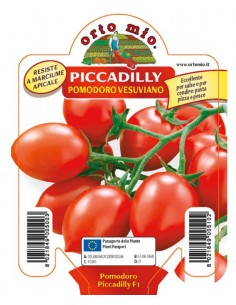 ORTO MIO - PIANTA ALTA...