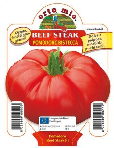 ORTO MIO - PIANTA ALTA...