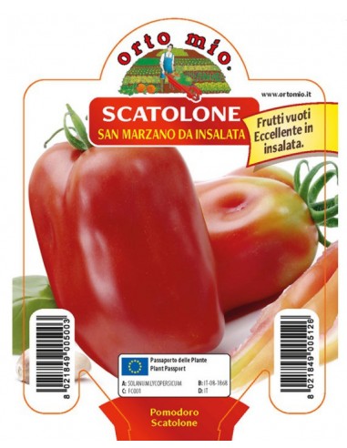 ORTO MIO - PIANTA ALTA QUALITA' -... ORTO MIO - PIANTA ALTA QUALITA' -...