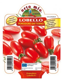 ORTO MIO - PIANTA ALTA...