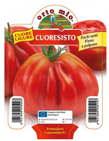 ORTO MIO - PIANTA ALTA QUALITA' -... ORTO MIO - PIANTA ALTA QUALITA' -...