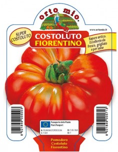 ORTO MIO - PIANTA ALTA...